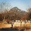 Yustine Tine