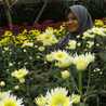 Nur Ratna Sholichah Nur Ratna Sholichah