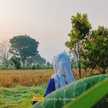 Budiyatie