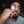 Fady Isaac 