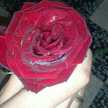 *MARIAM*