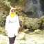 Heny
