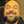 hhugo 