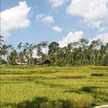Isna wati