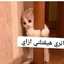  رغد