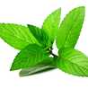 yerbabuena
