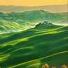 sun light 1389