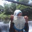 rositaningsih