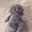 Rawan