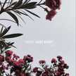 Abeer