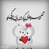 Negin Morshedloo