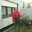 Susana Alicia Pelourson Susana Alicia Pelourson