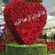 Boushra Tari
