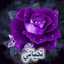 kholoud 