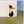 alan ahmed