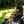 Rukaya Asmal Docrat