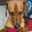 Zhoto Inghrid Zhoto Inghrid