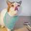 Echy L