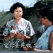 阿粒西亞