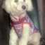 Aldana