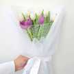 Fitriapril