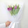 Fitriapril