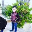 Om Osead Sami
