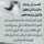 Alyaa Ahmed Alyaa Ahmed