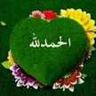 Adam Hsg