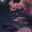 Sohila Waled