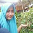 listiqomah