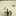 Norveen Tauheed Norveen Tauheed