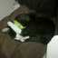 Ines Ines