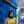 Welliswanti Sunardi Welliswanti Sunardi