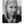 Angelina Tiffany Jane Cairns Angelina Tiffany Jane Cairns