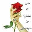ياسمينة أحمد 