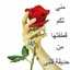 ياسمينة أحمد 