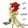 ياسمينة أحمد 