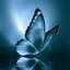 Asal.banu81