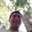 David Intal