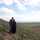 الی الی