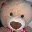 Ted Savage