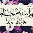 Shaimaa Ahmed