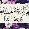 Shaimaa Ahmed
