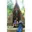 Imas A. Aisyah