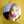 Emma Syahrifa Rahma