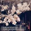 Fatima Mohammd
