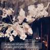 Fatima Mohammd