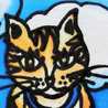 HISA 
