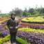 erna dj